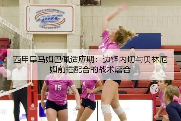 xi-jia-huang-ma-mu-ba-pei-shi-ying-qi-bian-feng-nei-qie-yu-bei-lin-e-mu-qian-cha-pei-he-de-zhan-shu-mo-he-2-542.jpg