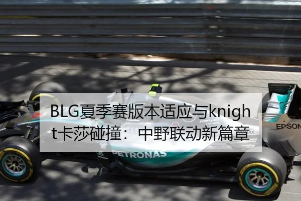 BLG夏季赛版本适应与knight卡莎碰撞：中野联动新篇章