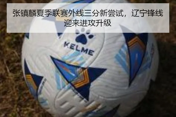 张镇麟夏季联赛外线三分新尝试，辽宁锋线迎来进攻升级