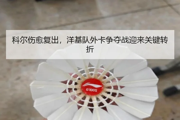 科尔伤愈复出，洋基队外卡争夺战迎来关键转折