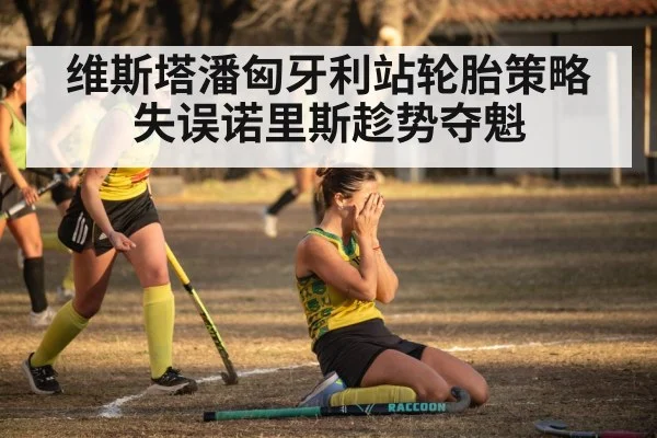 维斯塔潘匈牙利站轮胎策略失误诺里斯趁势夺魁